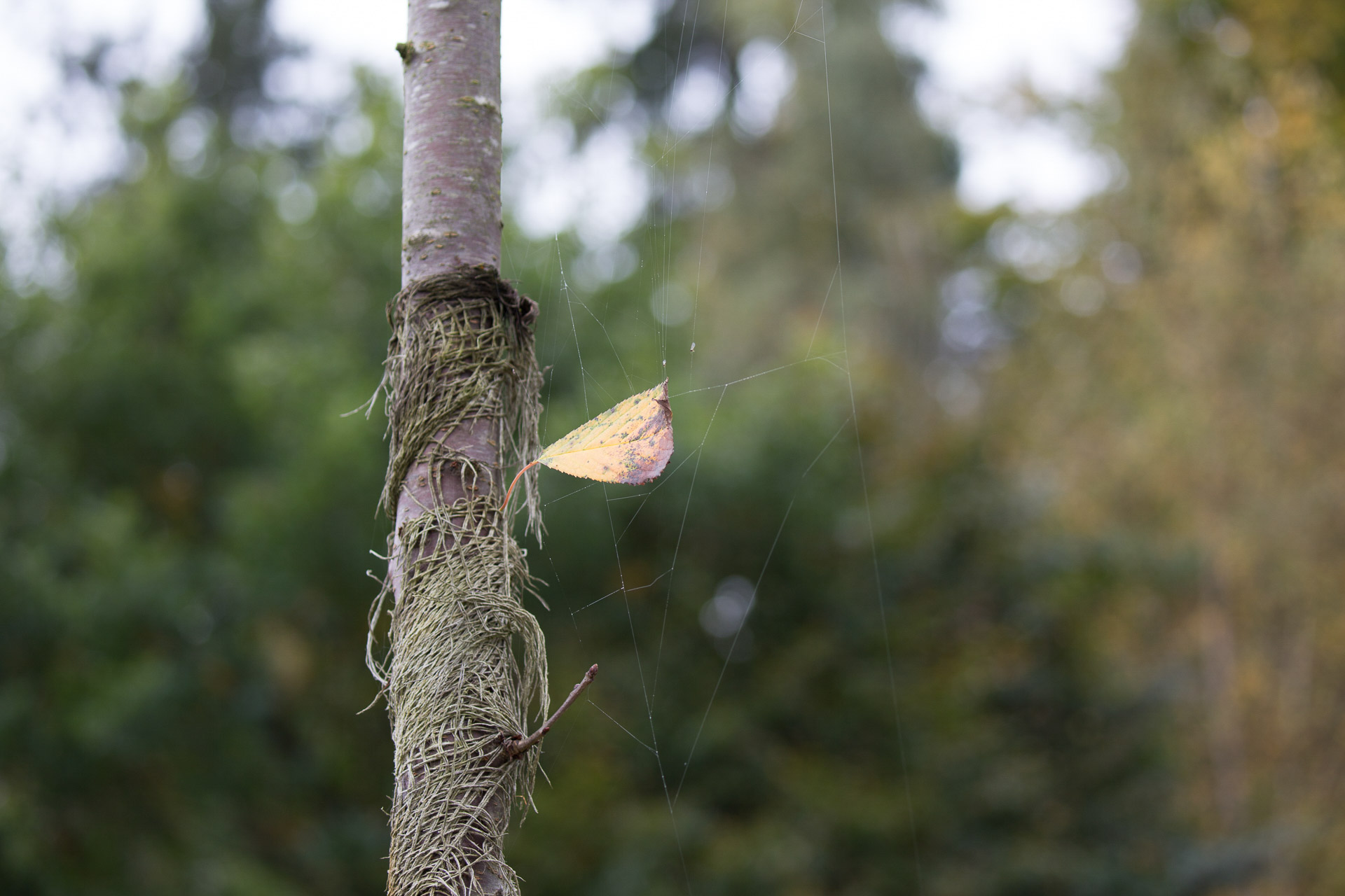 20231014100726 3K6A2164